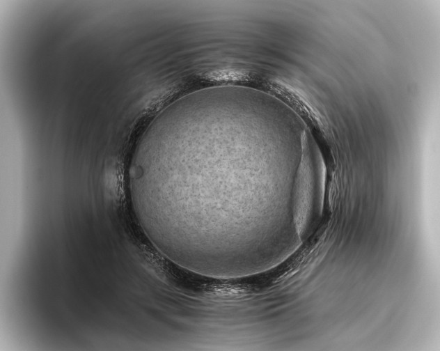 X0000096440547200801241400