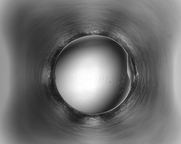 X0000096440548200801241400