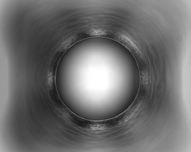 X0000096440549200801241401