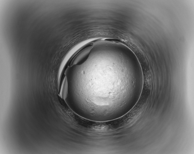 X0000096440551200801241401