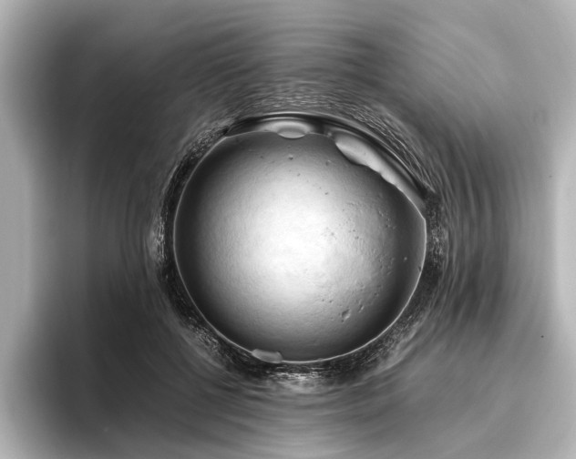 X0000096440552200801241401