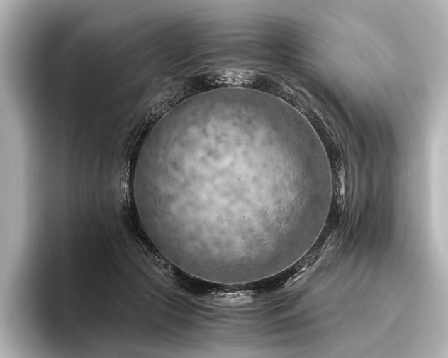 X0000096440553200801241401