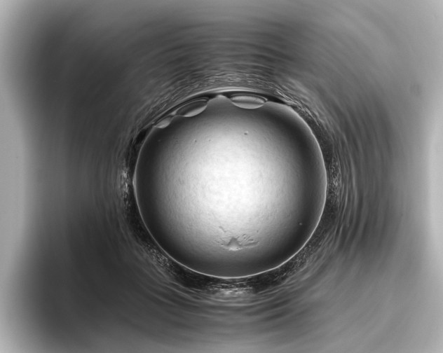 X0000096440555200801241401