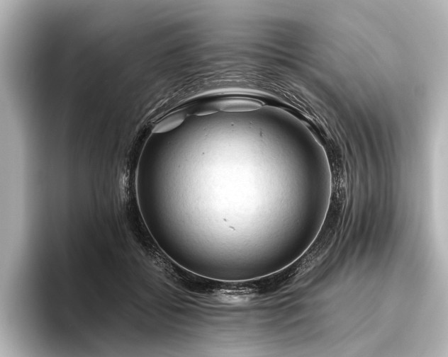 X0000096440556200801241401