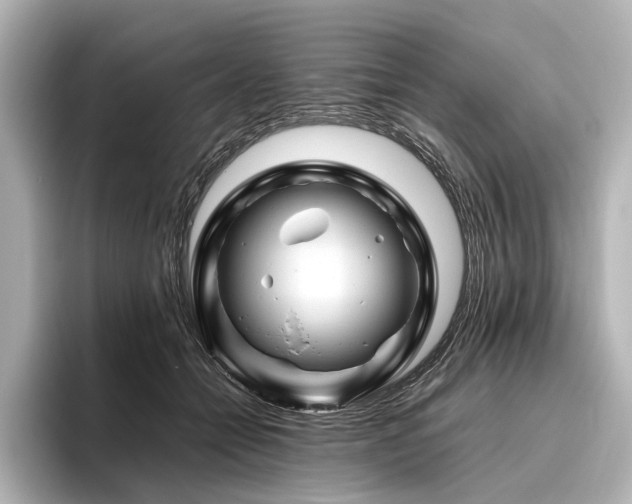 X0000096440558200801241401