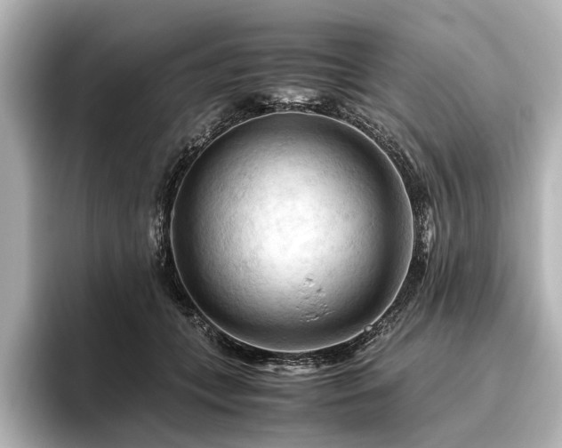 X0000096440559200801241401