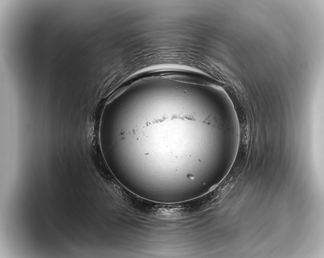 X0000096440560200801241401
