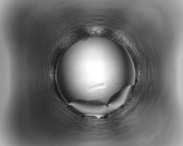 X0000096440561200801241401
