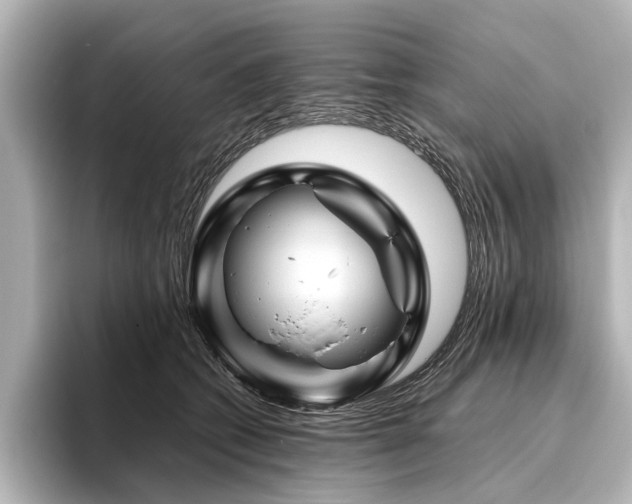 X0000096440562200801241401