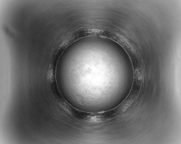 X0000096440564200801241401