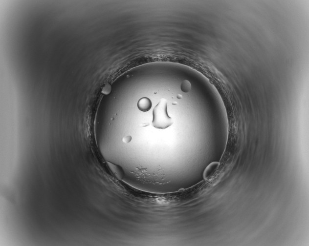 X0000096440565200801241401
