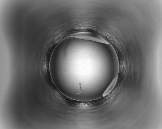 X0000096440566200801241401