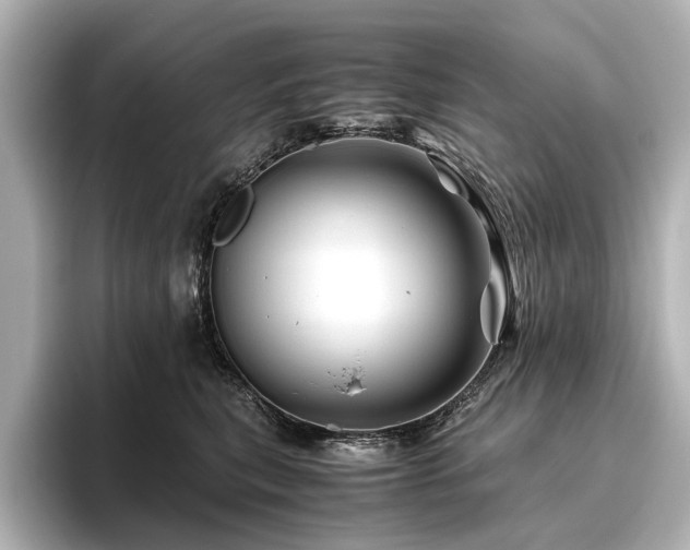X0000096440567200801241401