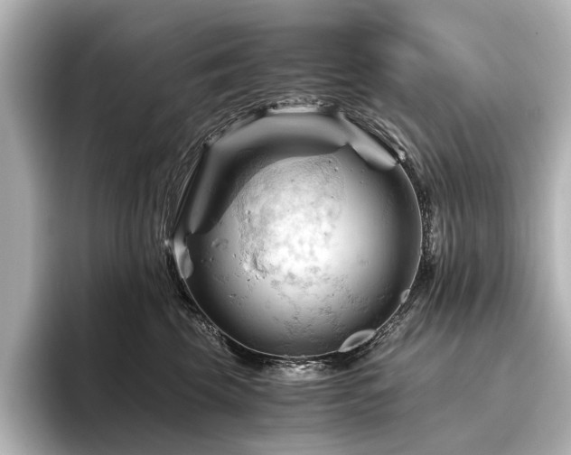X0000096440569200801241401