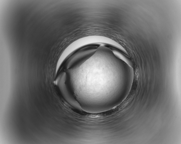 X0000096440570200801241401