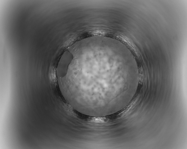 X0000096440573200801241401