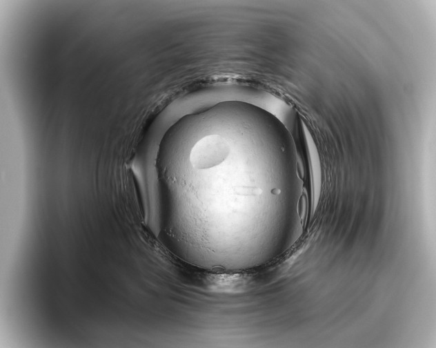 X0000096440575200801241401