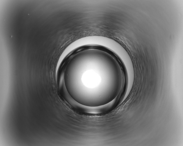 X0000096440576200801241401