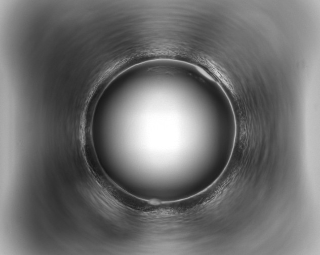 X0000096440578200801241400