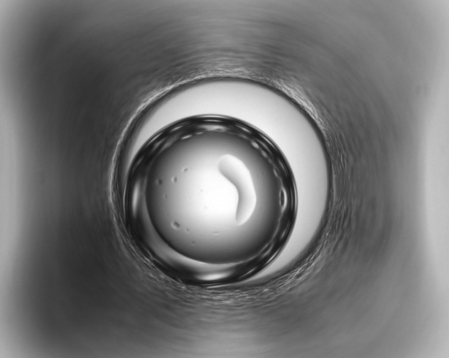 X0000096440579200801241400