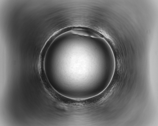 X0000096440580200801241400