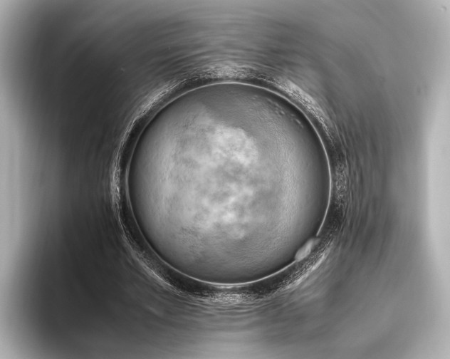 X0000096440581200801241400