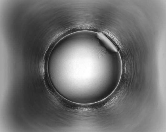 X0000096440582200801241400