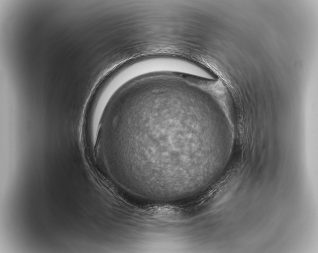 X0000096440583200801241400