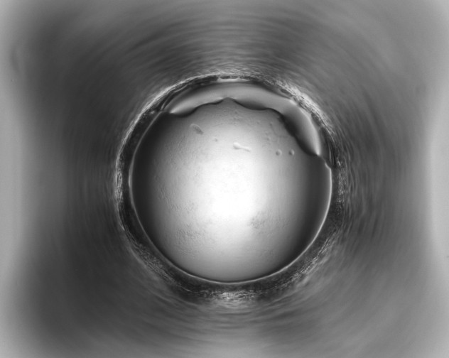 X0000096440584200801241400