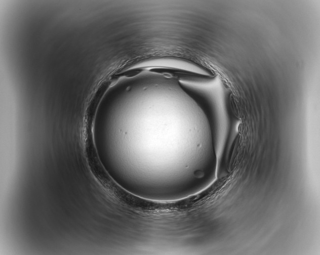 X0000096440586200801241400