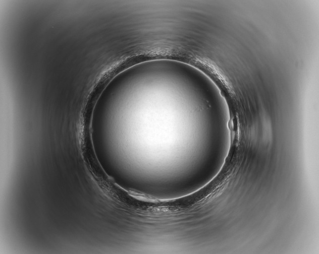 X0000096440588200801241400
