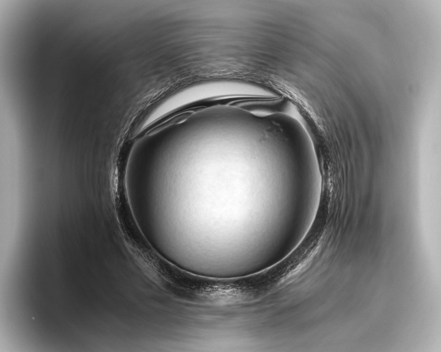 X0000096440589200801241400