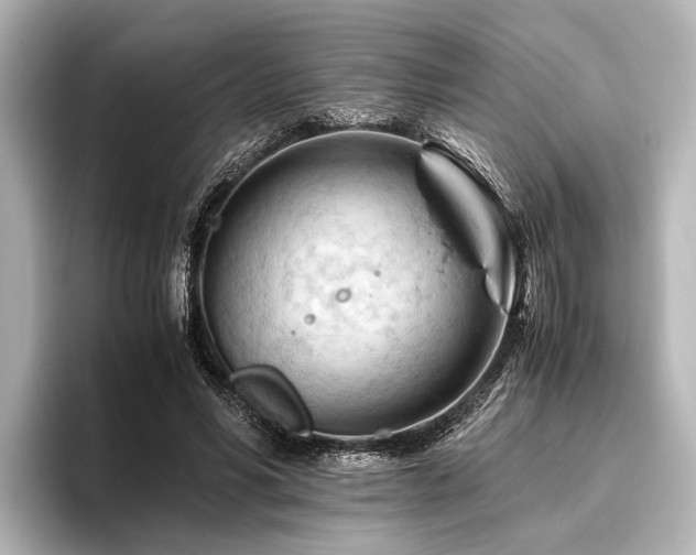 X0000096440590200801241400