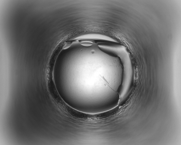X0000096440591200801241400