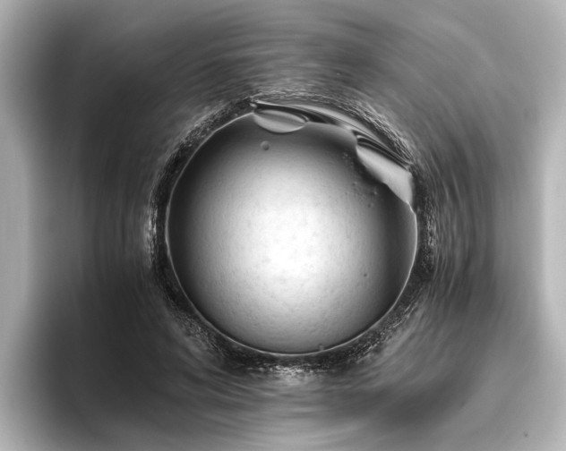 X0000096440592200801241400
