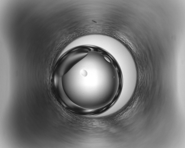 X0000096440593200801241400