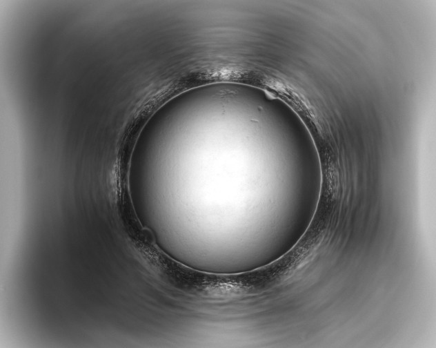 X0000096440594200801241400