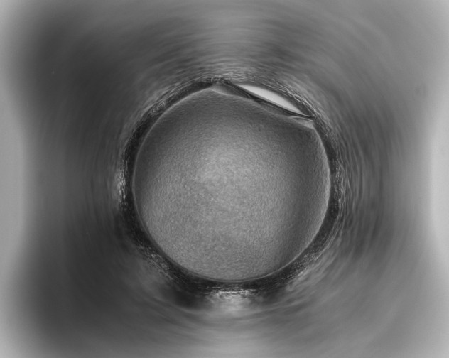 X0000096440595200801241400