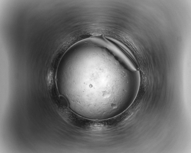 X0000096440598200801241400
