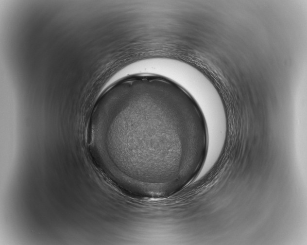 X0000096440599200801241400
