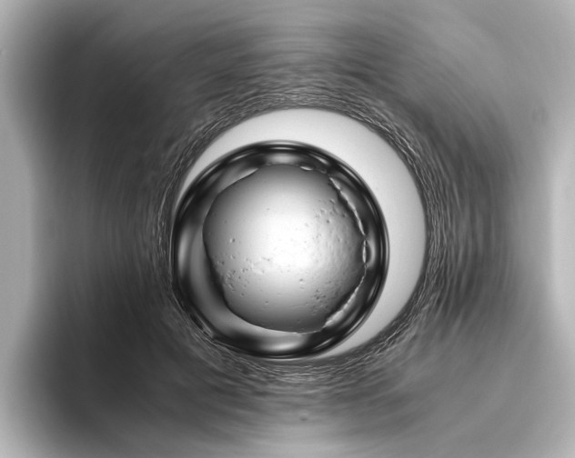 X0000096440601200801241400