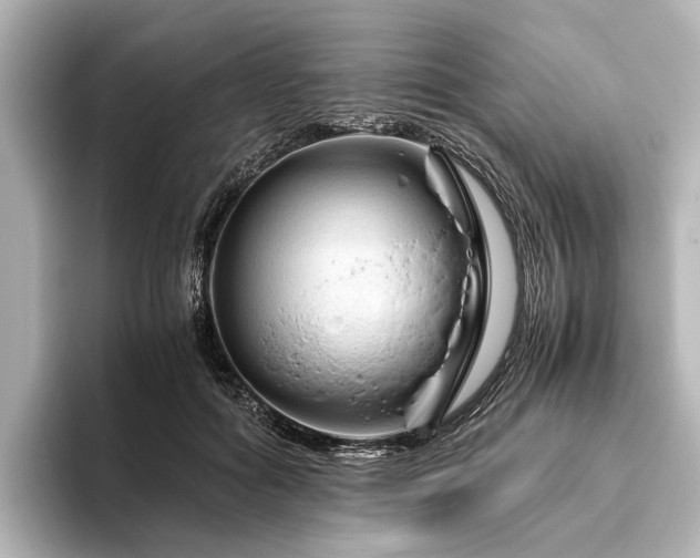X0000096440602200801241400
