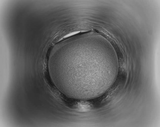 X0000096440603200801241400