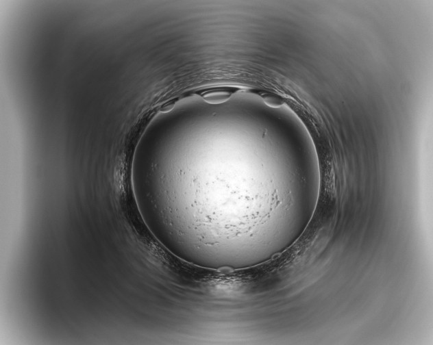 X0000096440604200801241400