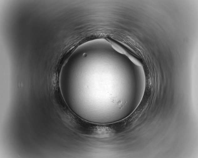 X0000096440605200801241400