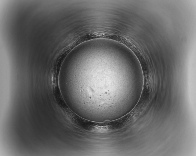 X0000096440606200801241400