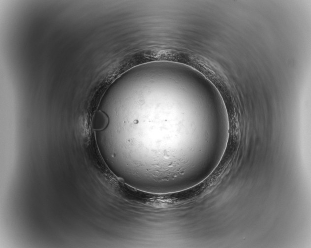 X0000096440607200801241400