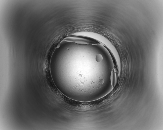 X0000096440608200801241400