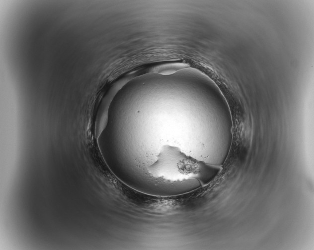 X0000096440609200801241400