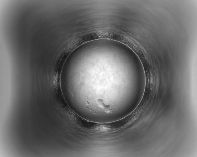 X0000096440610200801241400